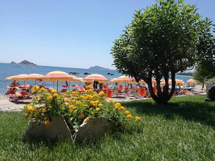 Marina'S Apartment Ogliastra Lotzorai Extérieur photo